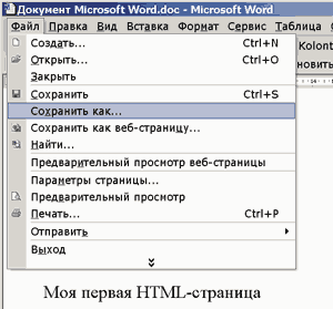 mdoc01.gif